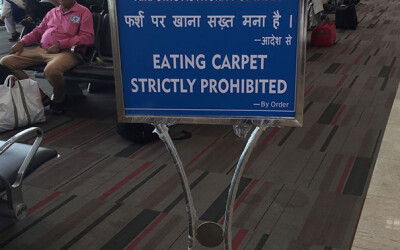 eating carpet